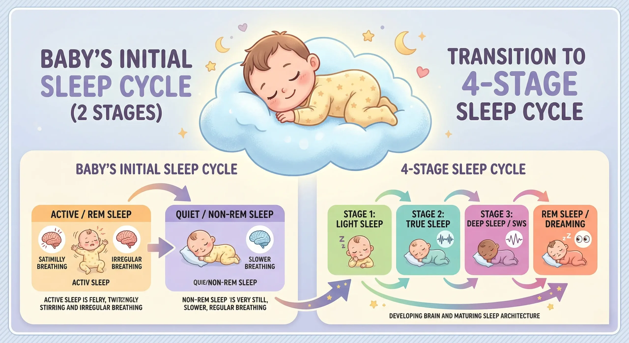 Illustration showing the change in baby sleep cycles from 2 stages to 4 stages at four months.